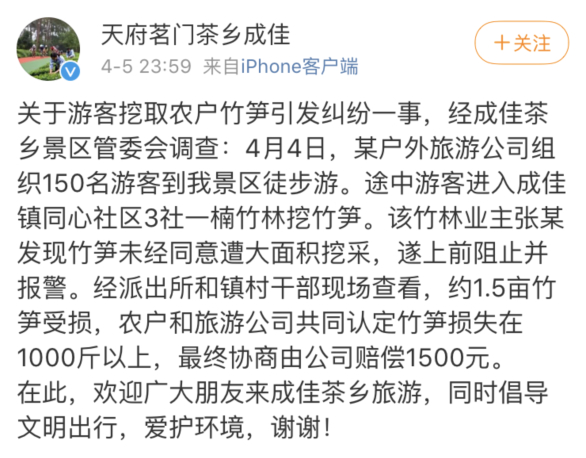 还“笋”吗？官方通报游客私挖竹笋：损失1000斤以上，赔偿1500元
