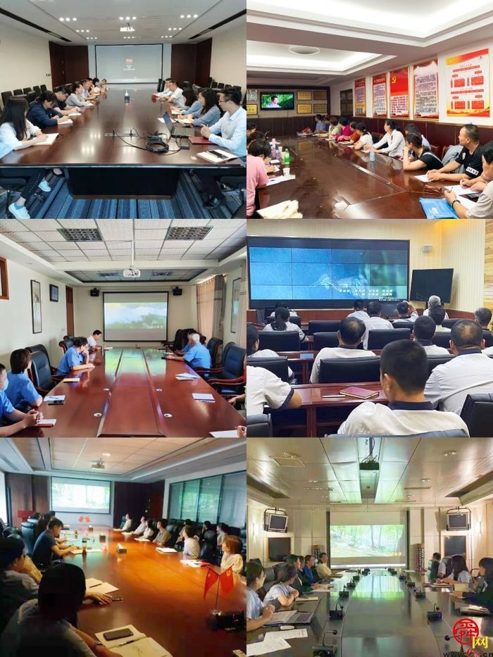 济南产发集团组织观看纪录电影《血沃春华——济南“四五”烈士祭》