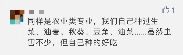大二男生历时5个月种出杂交水稻，网友：和袁老种的味道一样吗？