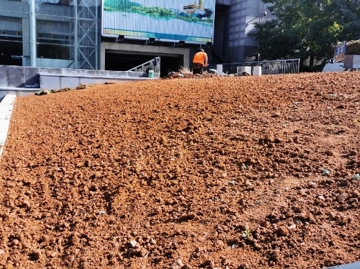 【啄木鸟在行动】舜耕山庄内绿化带施工渣土裸露