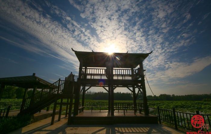 一湖一世界 一水一天堂——五一打卡，白云湖国家湿地公园等您来！