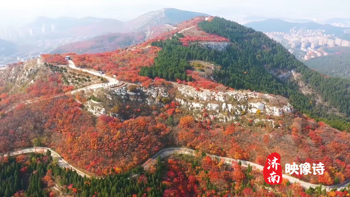 济南映像诗丨蚰蜒山：梯田层叠 五彩斑斓