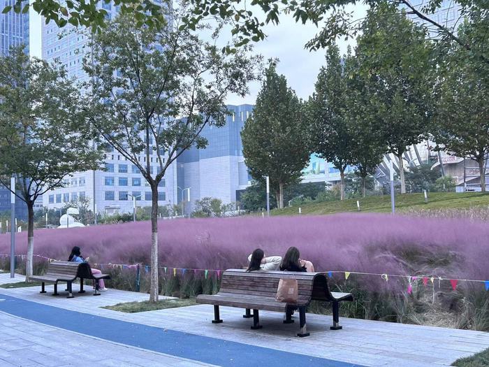 地铁沿线好风光，周末解锁打卡新坐标