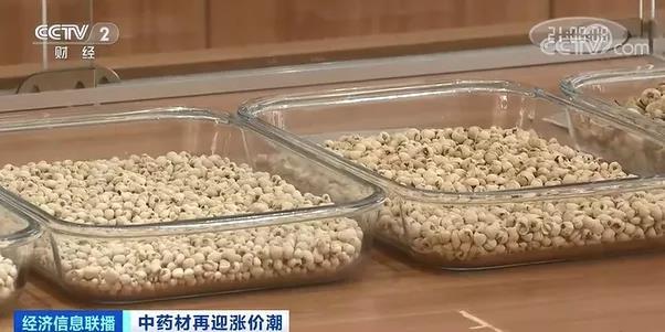 中药材涨价 这味药涨至20多万元1斤 发生了啥