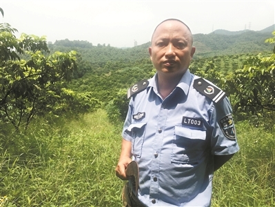 父子接力守护1.2万亩山林61年：每天走30公里山路