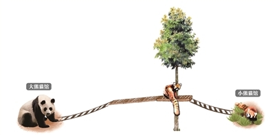 动物园里的“抢房记”！30平方米的房间、60平方米的小花园……要是我的那该多好啊