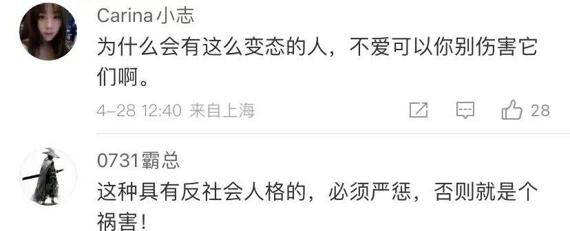 拘留！解约！网红美食博主“杰克辣条”道歉 网友怒了