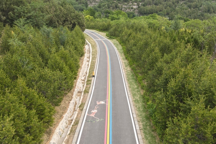 今年济南已开工建设60处公园，森林文化周代表委员近距离体验城市公园