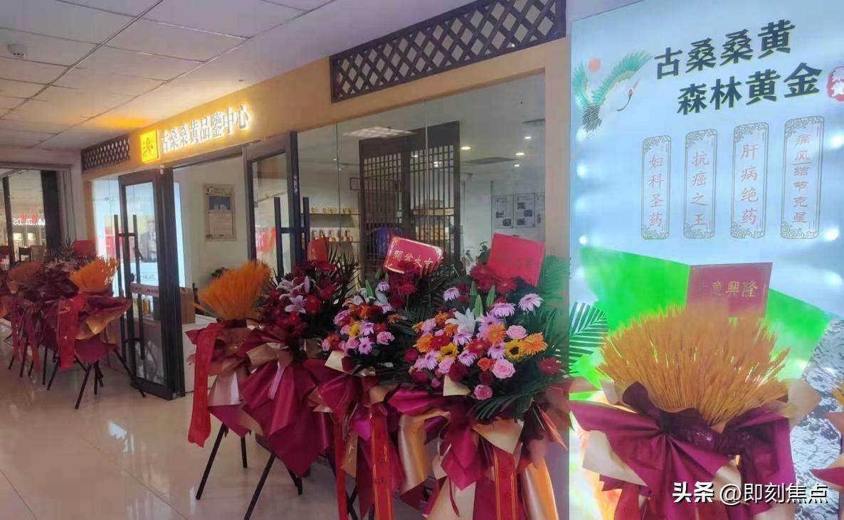 古桑桑黄黄纪年，黄河故道文脉绵！山东古桑桑黄品鉴中心开业