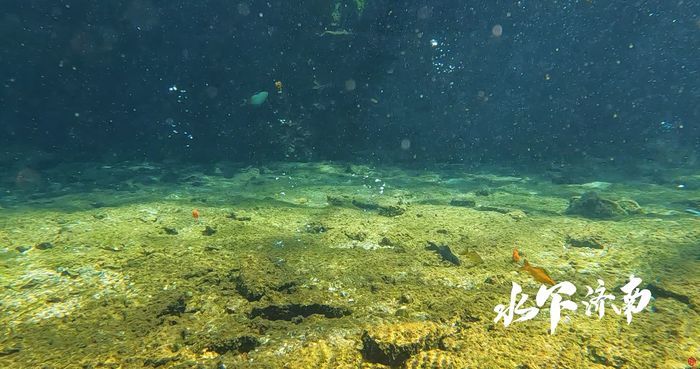 【水下济南】马跑泉：马蹄踏破进飞泉 流出齐城浅水边