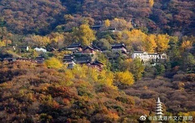 确定了！免费！