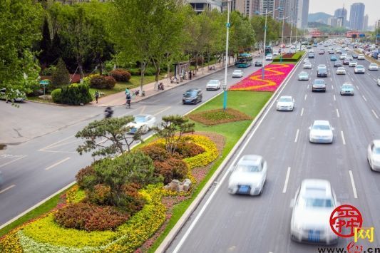 路上就能赏花！千万盆鲜花扮靓泉城喜迎五一