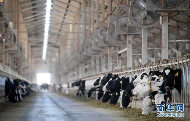 改变世界的一粒种子——从中央一号文件看打赢种业翻身仗