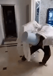 春节不能出门把全国网友憋成啥样？给猫讲函数，为橘子接生