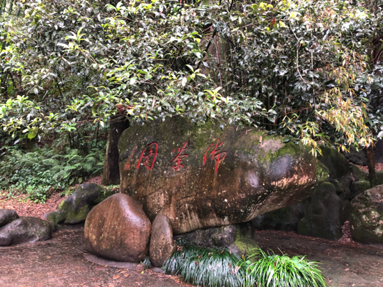 武夷山印象：茶韵流芳 “绿”动一山春色