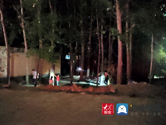 菏泽新鲜金蝉8毛一只 今年价格略有上涨市场供不应求