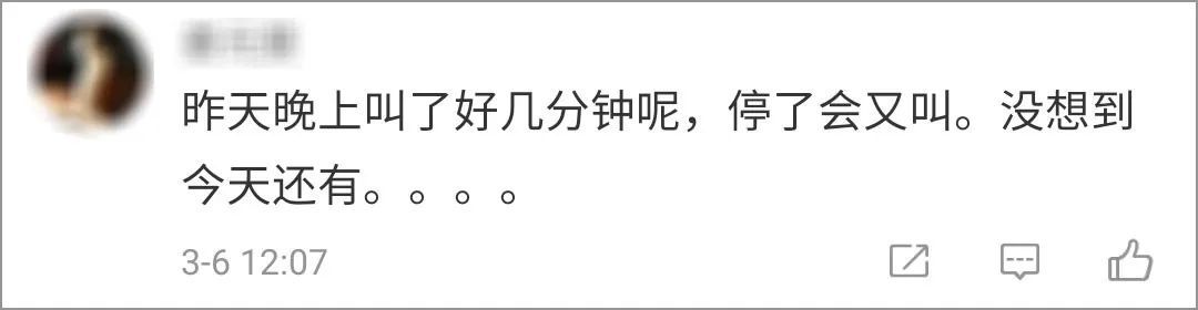 猫来助阵！“央视猫叫”上热搜是怎么回事？终于真相了，原来是这样！