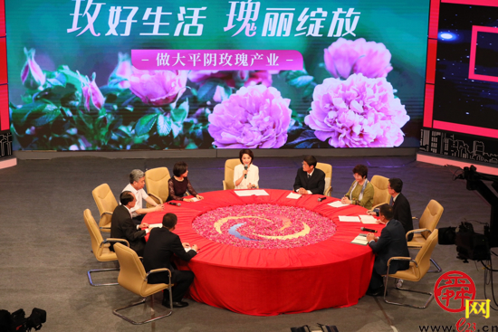 花田“措”——济南政协花间头脑风暴为做大平阴玫瑰产业出谋划策