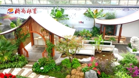 报业“花仙子”探花博丨在传统庭院里 感受花博会上的中国风