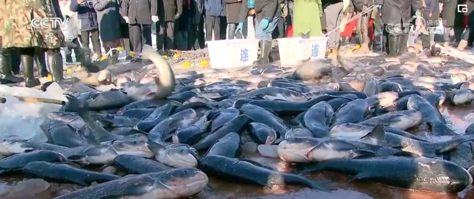 2023冬日神州风光无限 热“雪”活力足、口岸往来忙