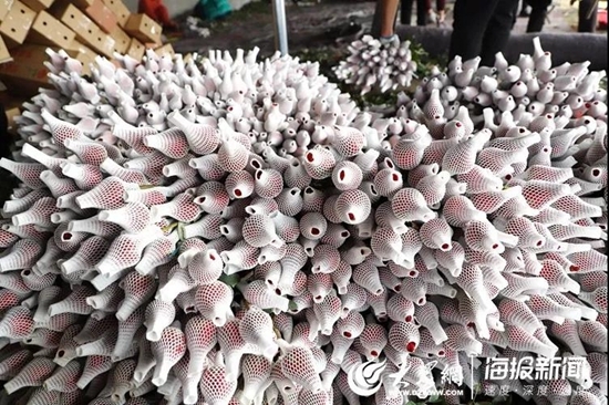 新春走基层：179万阅读量！17万订单！300万枝招贤玫瑰售出！