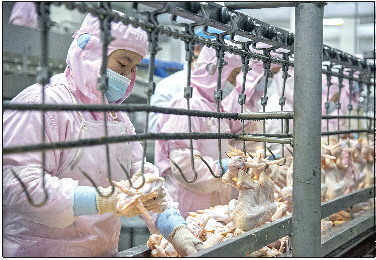 打造乡村振兴齐鲁样板,山东德州率先突破