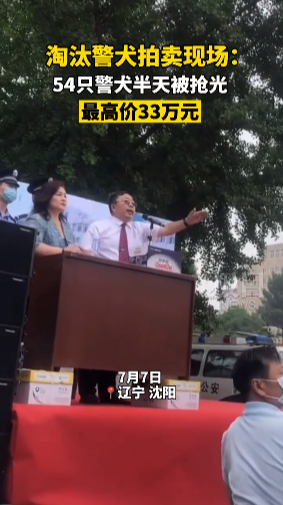 男子出33万最高价拍下淘汰警犬：为国家做贡献