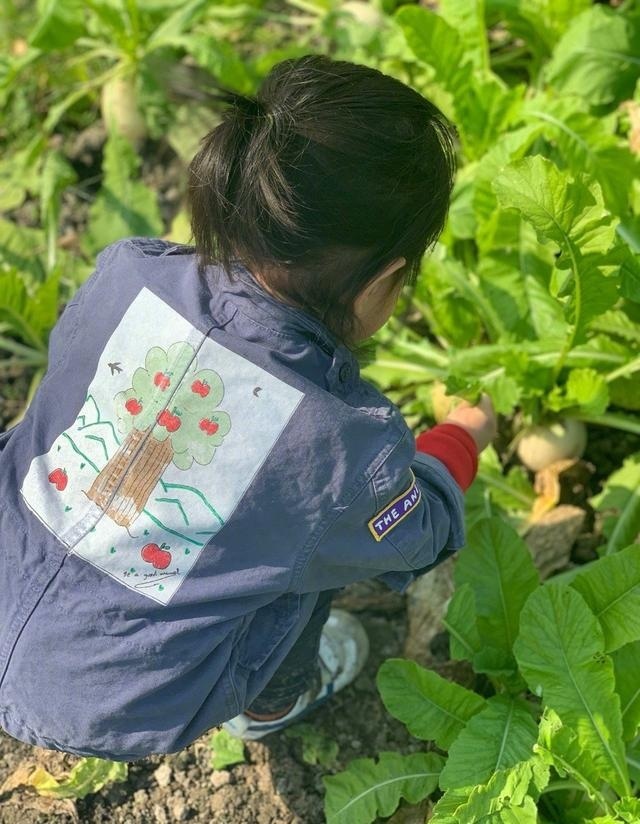 朱丹晒女儿背影照  侧颜呆萌可爱 菜地拔萝卜画风可爱