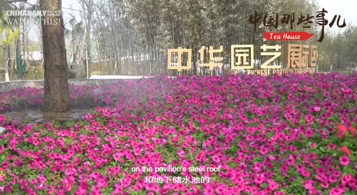 【中国那些事儿】长城脚下、妫水河畔 中国发出“绿色之约”