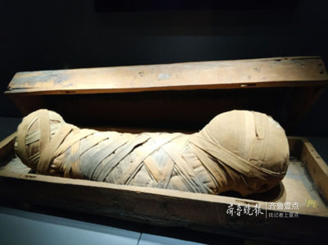 今天省博排起史上最长的队！只为一观埃及木乃伊真容