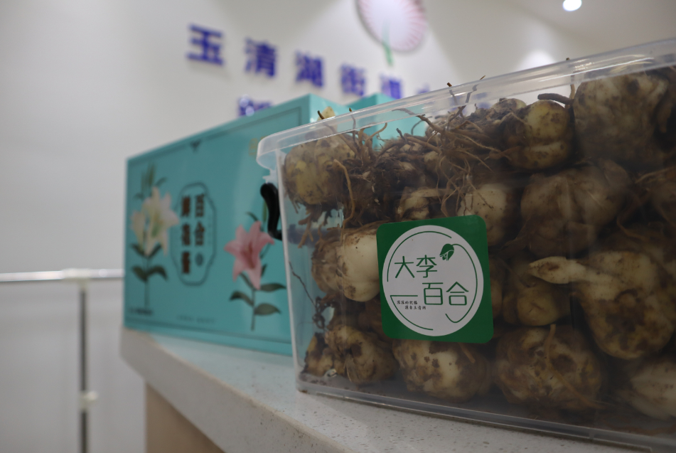 融媒·见证丨专业人干专业的事儿，破解乡村优势资源运营难题——“共富公司”来到我们村