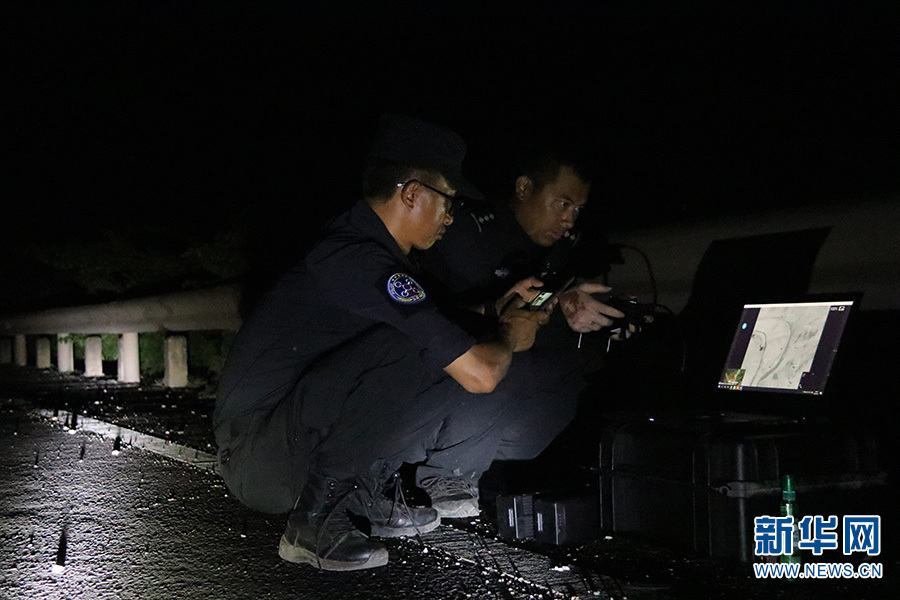 “追象人”镜头中的野生亚洲象群