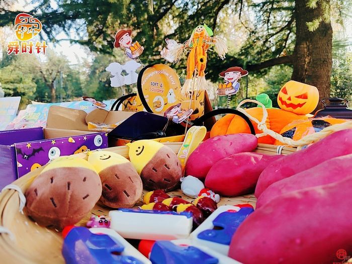 “地瓜跑”出圈！奔跑中感受百花公园冬日魅力