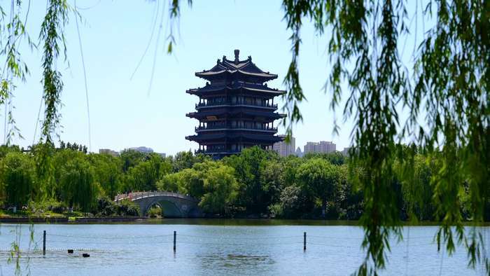 诗画济南丨四面荷花三面柳 半城湖色美如画