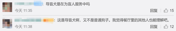 导盲犬进海底涝是怎么回事?终于真相了,原来是这样!
