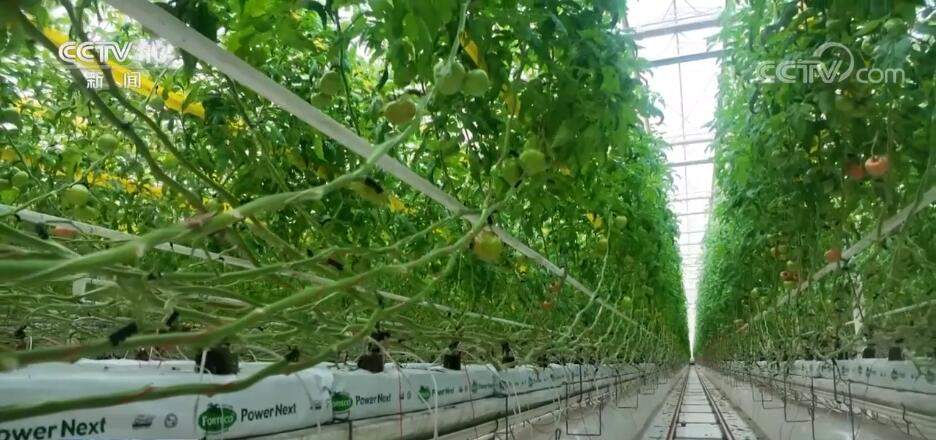 突破制约 数字技术与传统农业碰撞出“最优解”