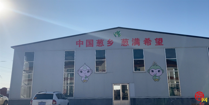 担子挑了19载 实力认证“名招牌” 章丘大葱2600余年还是那个味儿…