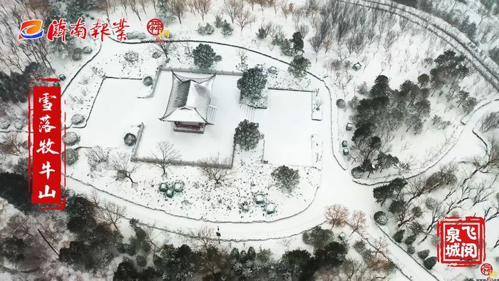【飞阅泉城】雪落牧牛山绘就绝美水墨丹青