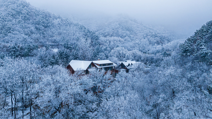 意境拉满！雪后九如山现绝美雾凇，宛如仙境