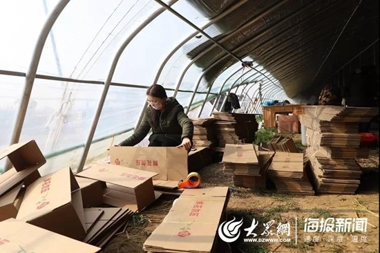 新春走基层：179万阅读量！17万订单！300万枝招贤玫瑰售出！