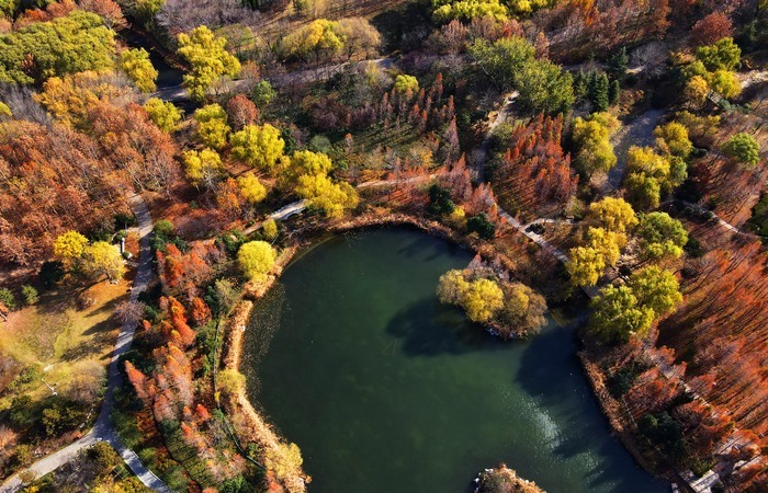 邂逅济南别样的色彩