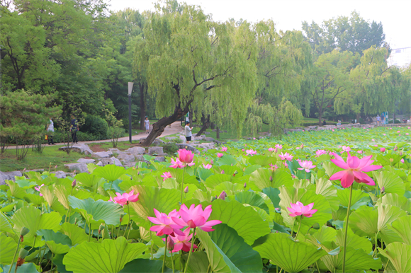 红石公园：在这里欣赏侏罗纪红石