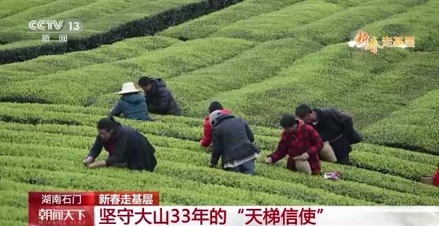 坚守大山33年的“天梯信使”