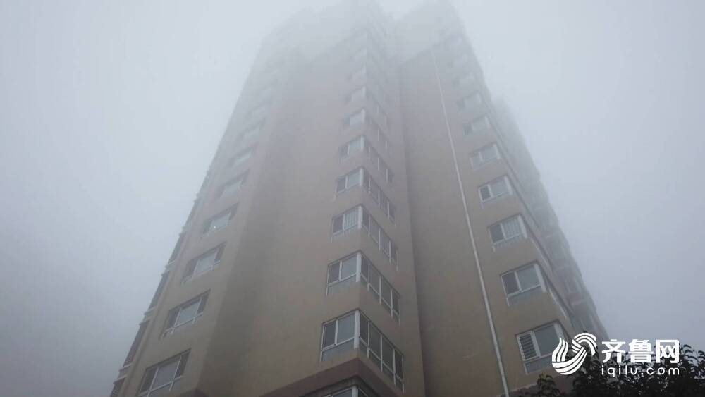 山东多地发布大雾预警 50多个收费站临时封闭