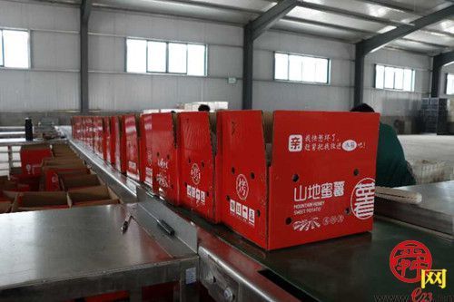 泉水人家有一“甘薯帝国”，可脆可糯可冰可热，全济南“薯”他有花样