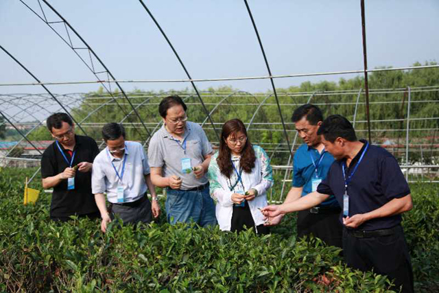 打造田园综合体助力乡村振兴 中国工程院院士、专家齐聚山东莒南