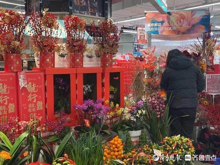 年宵花走俏，泉城年味正“飘香”