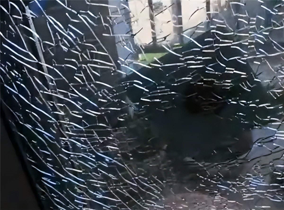 高温“霸占”热搜！到底有多热？蚂蚁落地活不过3秒，地表达74.1℃