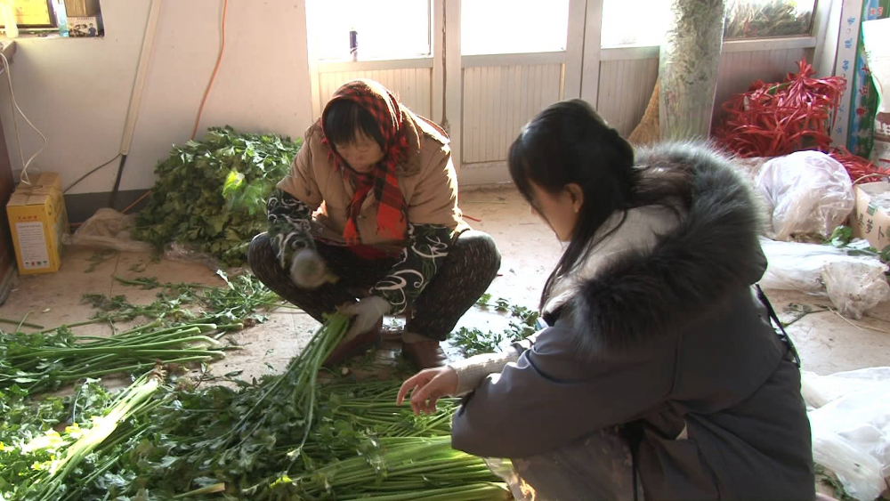         蹲点Vlog 
