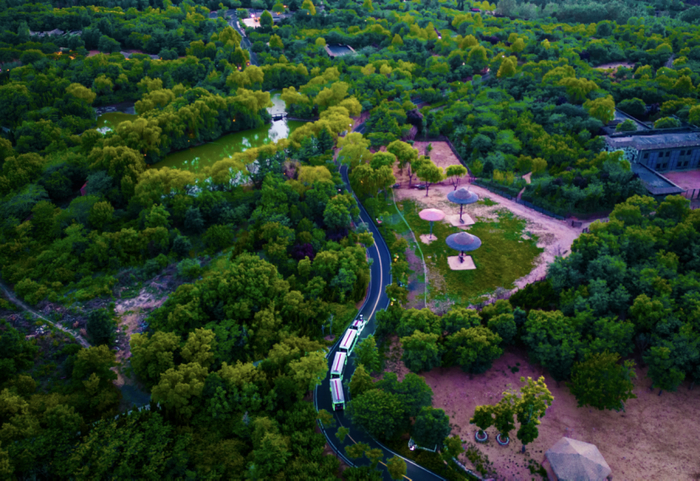 就今晚，去济野！夜间动物园开放首日超千人次打卡